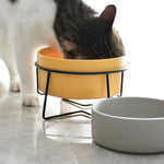 Elevated Yellow Ceramic Pet Bowl with Iron Stand Neck Protect Anti - Vomiting - GreenFur