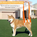 Ergonomic Design Breathable Dog Support Harness Pet Rear Leg Support Strap - GreenFur