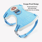 Escape - Proof Vest Pet Harness Leash Set for Cats and Small Dogs - GreenFur