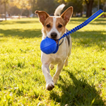 EVA Floating Training Ball with Rope Handle for Dog - GreenFur