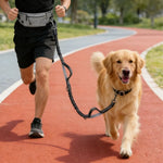 Explosion - proof Retractable Sports Waist Bag Dog Leash - GreenFur