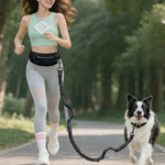 Explosion - proof Retractable Sports Waist Bag Dog Leash - GreenFur