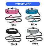 Explosion - proof Retractable Sports Waist Bag Dog Leash - GreenFur