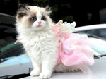 Fairy Princess Pet Dress Wedding Gown with Bow for Cats - GreenFur