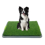 Fake Grass Potty Tray Large Size Dog Toilet,26.77"x16.73" - GreenFur