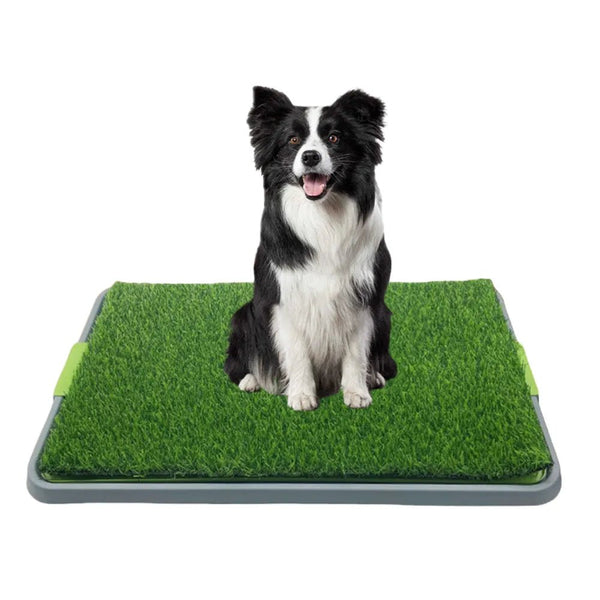 Fake Grass Potty Tray Large Size Dog Toilet,26.77"x16.73" - GreenFur