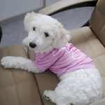 Fall Cotton T-Shirt for Teddy and Bichon with Bright Crown Print - GreenFur