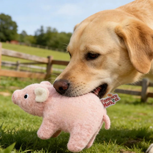 Farm Collection Cute Pink Pig Style Felt Dog Toy - GreenFur