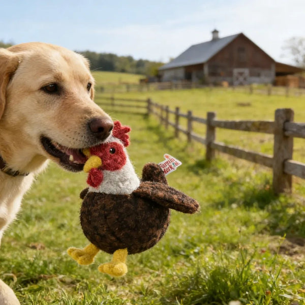 Farm Collection Cute Rooster Style Felt Dog Toy - GreenFur