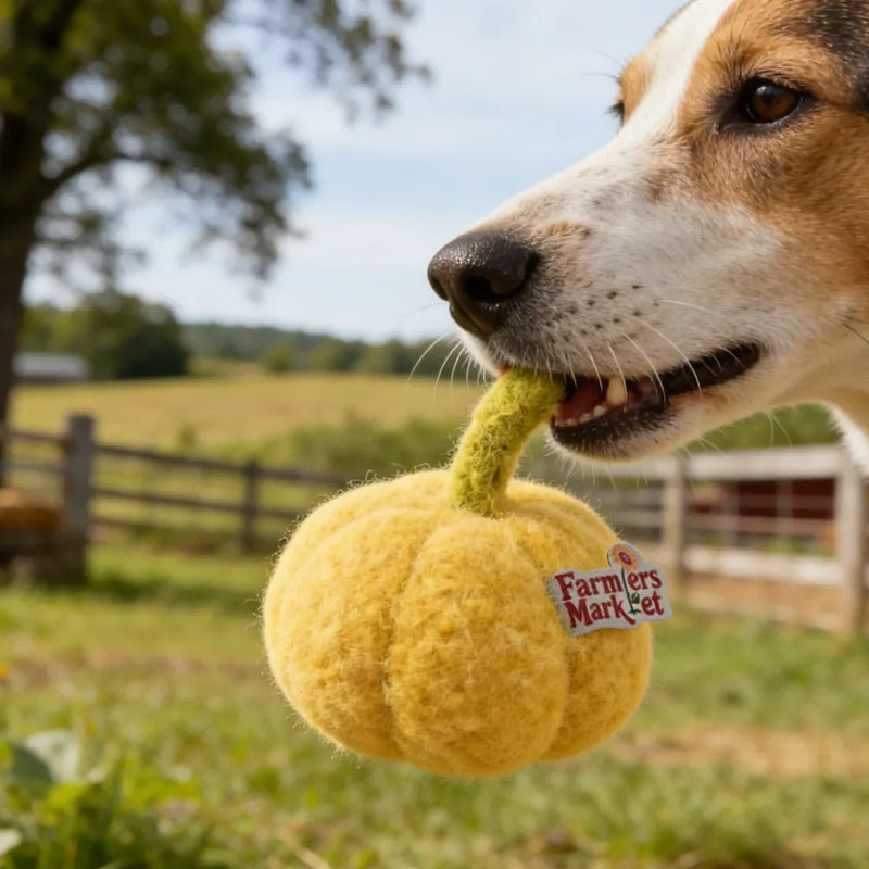 Farm Collection Cute Yellow Pumpkin Style Felt Dog Toy - GreenFur