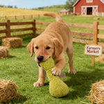 Farm Collection Green Artichoke Style Felt Dog Toy - GreenFur