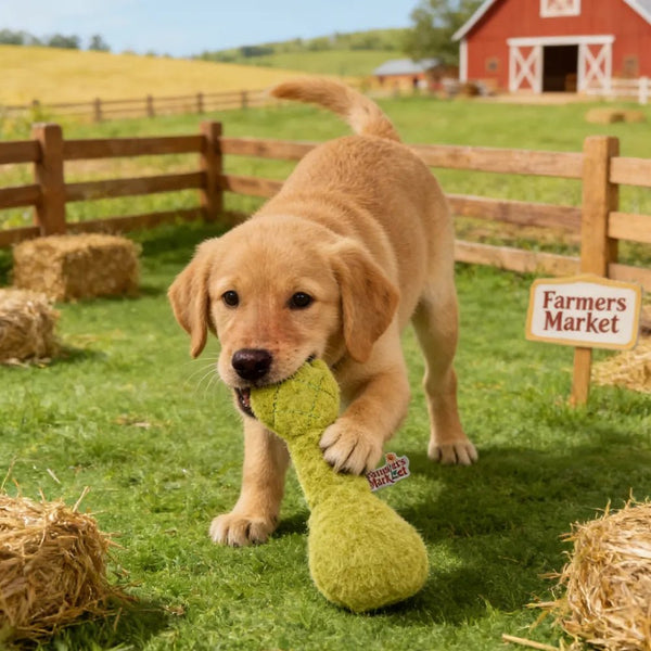 Farm Collection Green Artichoke Style Felt Dog Toy - GreenFur