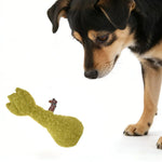 Farm Collection Green Artichoke Style Felt Dog Toy - GreenFur