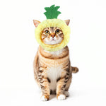 Fashion Adjustable Pineapple Shape Pet Cap Hats - GreenFur