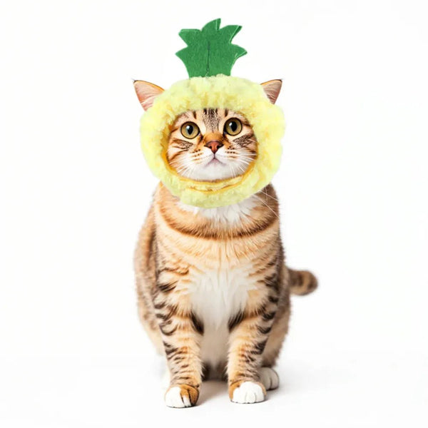 Fashion Adjustable Pineapple Shape Pet Cap Hats - GreenFur