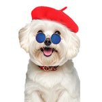 Fashion Stylish Red Beret Hat for Dogs and Small Pets - GreenFur
