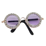 Fashionable Pet Photo Shoot Accessories Beach Sunglasses - GreenFur