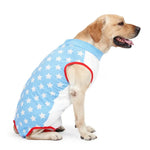 Fashionable Star - Patterned Post - Surgery Recovery Shirt for Dog - GreenFur