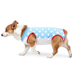 Fashionable Star - Patterned Post - Surgery Recovery Shirt for Dog - GreenFur