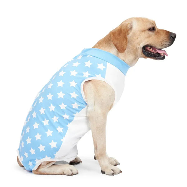 Fashionable Star - Patterned Post - Surgery Recovery Shirt for Dog - GreenFur