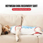 Fashionable Star - Patterned Post - Surgery Recovery Shirt for Dog - GreenFur