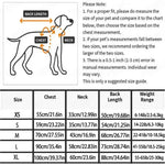 Fast Drying Dog Bath Robe Plush Dog Towel Bathrobe - GreenFur