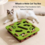Felt Cat Puzzle Box Square Design Interactive Cat Toy - GreenFur