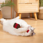 Felt Cat Teaser with Spring Tube and Catnip Chew Ball for Indoor Play - GreenFur