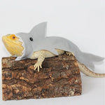 Felt Shark Costume and Felt Pet Outfit for Lizard - GreenFur