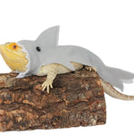 Felt Shark Costume and Felt Pet Outfit for Lizard - GreenFur
