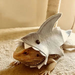 Felt Shark Costume and Felt Pet Outfit for Lizard - GreenFur