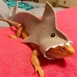 Felt Shark Costume and Felt Pet Outfit for Lizard - GreenFur
