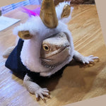 Felt Unicorn Costume and Plush Pet Outfit for Lizard - GreenFur