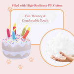 Festive Plush Bone Cake Dog Toy Gift Set with Squeaker - GreenFur