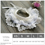 Firework Pattern White Lace Pet Collar - GreenFur