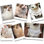 Firework Pattern White Lace Pet Collar - GreenFur