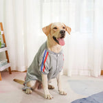 Fleece Dog Hoodie Four Legs Winter Warm Pet Clothing - GreenFur