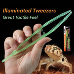 Flexible Glow - in - the - Dark Feeding Tongs for Reptiles Tortoises Lizards Frogs - GreenFur