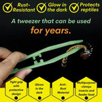 Flexible Glow - in - the - Dark Feeding Tongs for Reptiles Tortoises Lizards Frogs - GreenFur