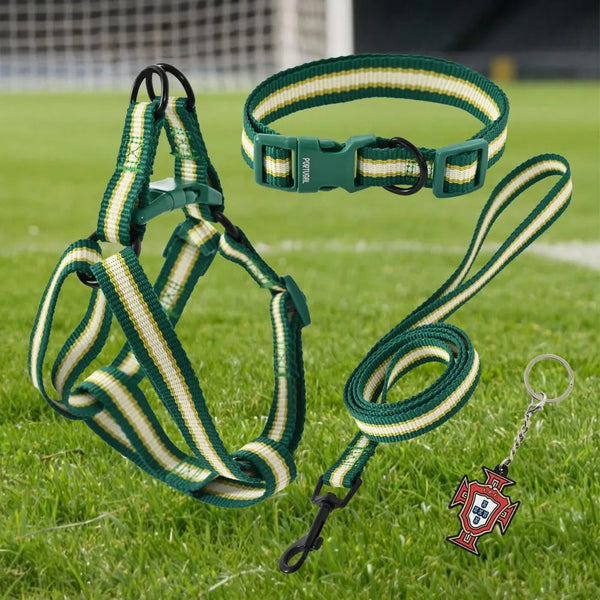 Flexible Polyester Made FPF Pet Leash and Harness and Collar Set - GreenFur