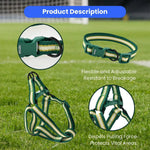 Flexible Polyester Made FPF Pet Leash and Harness and Collar Set - GreenFur