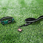 Flexible Polyester Made FPF Pet Leash and Harness and Collar Set - GreenFur