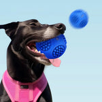 Floatable Squeaky Teething Bouncy TPR Dog Chew Toy Ball - GreenFur