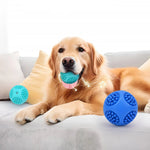 Floatable Squeaky Teething Bouncy TPR Dog Chew Toy Ball - GreenFur