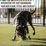Floating Dogs Toy with Trunk Design - GreenFur