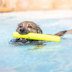 Floating Dogs Toy with Trunk Design - GreenFur