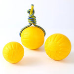 Floating Non - Toxic Sturdy and Soft Ball Dog Toy with Rope Handle - GreenFur