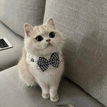 Floral Knitted Pet Collar with Bowtie - GreenFur