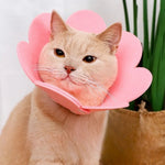 Flower Shape Cat Recovery Collar Soft Elizabeth Collar - GreenFur
