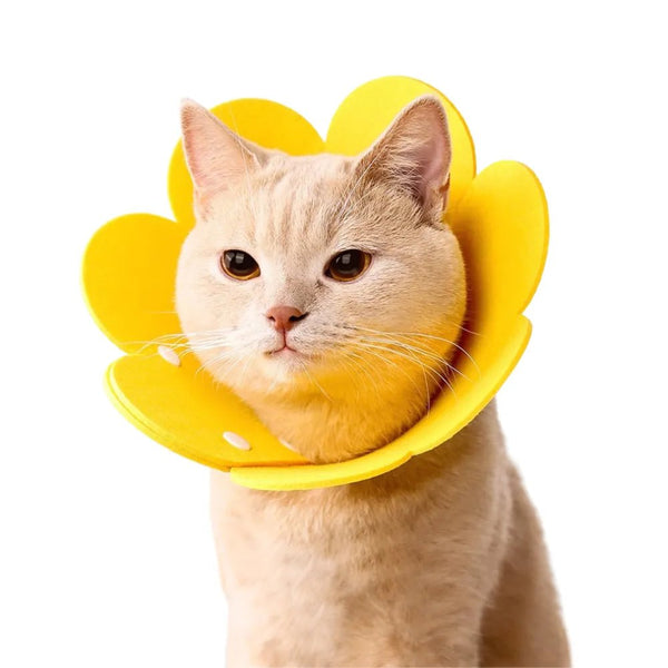 Flower Shape Cat Recovery Collar Soft Elizabeth Collar - GreenFur